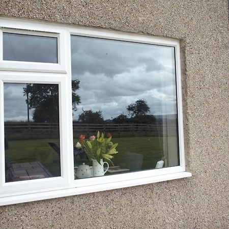 Lingfield Lodge Ewenique Views Pets Welcome Welbury المظهر الخارجي الصورة